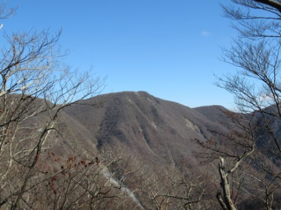 登山道
