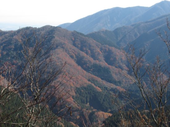 登山道