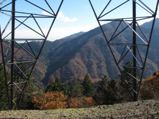 登山道
