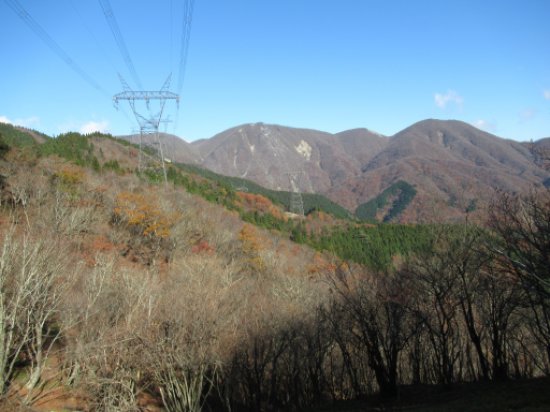 登山道