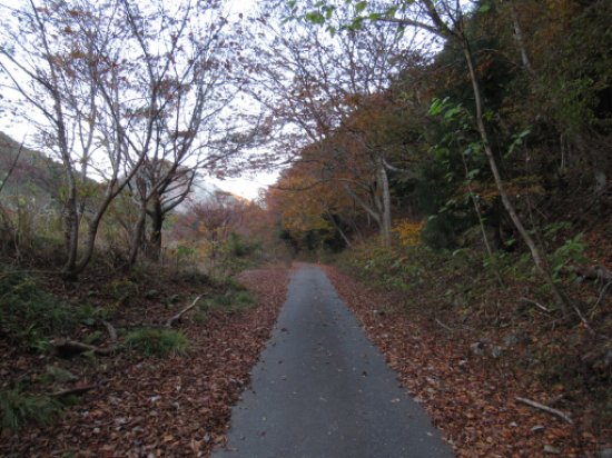 林道