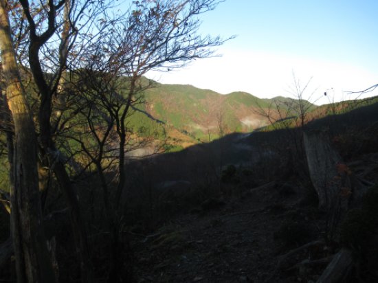 登山道