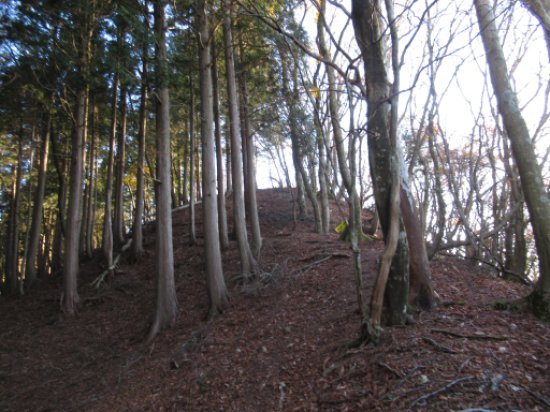 登山道