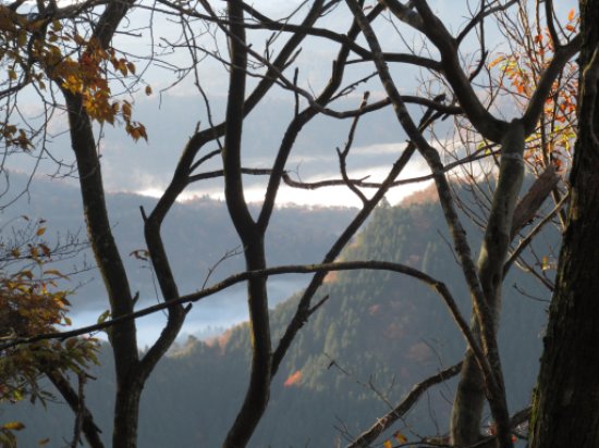 登山道