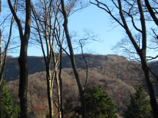 登山道