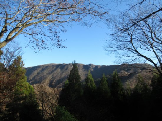 登山道