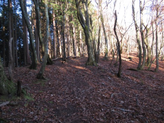 登山道