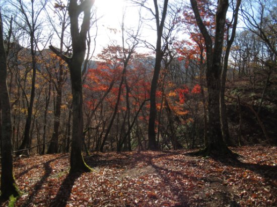 登山道