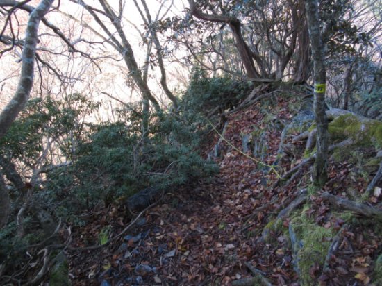 登山道
