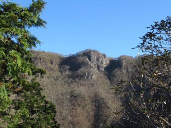 登山道