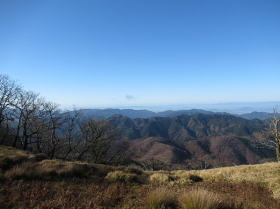 登山道