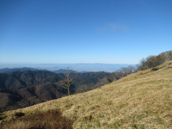 登山道