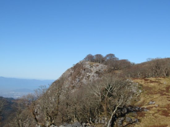 登山道