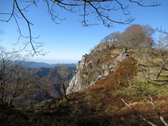 登山道