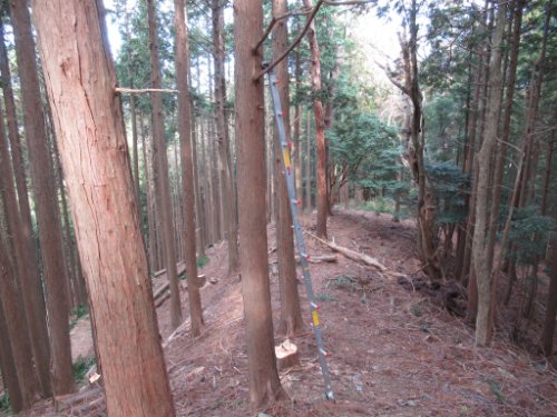登山道