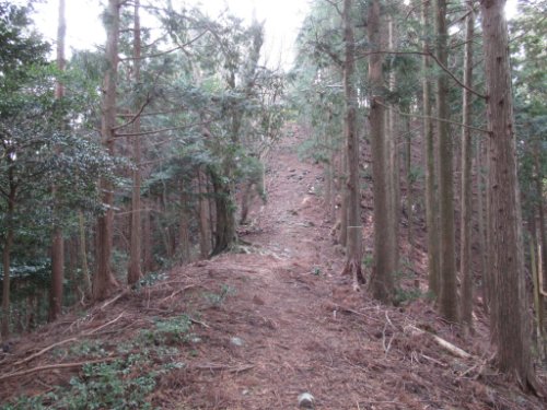 登山道