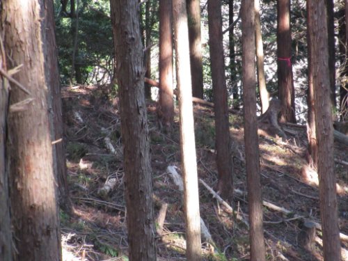 登山道
