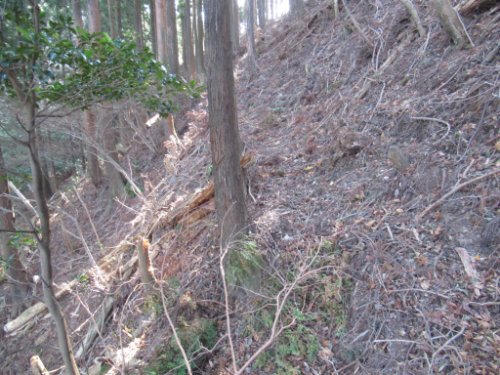 登山道