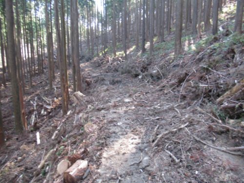 登山道