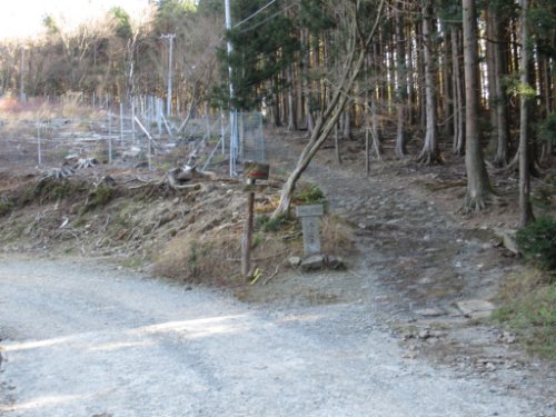 馬の背