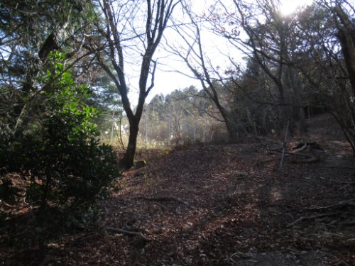 登山道