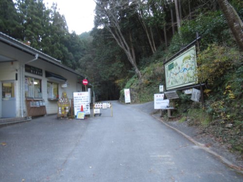 林道
