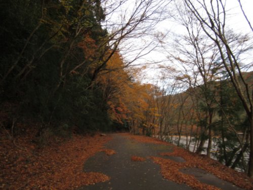 林道