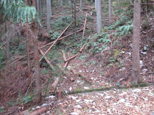 登山道