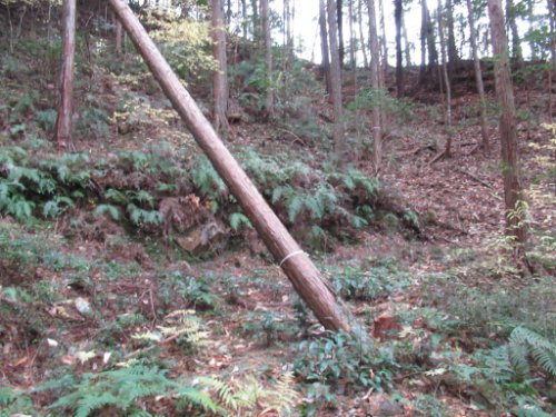 登山道