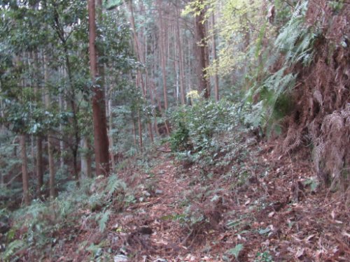 登山道