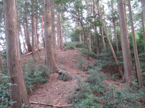 登山道