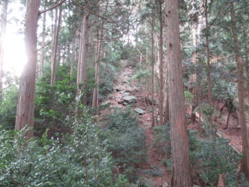 登山道