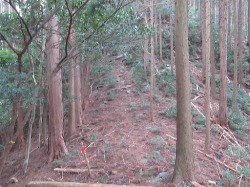 登山道