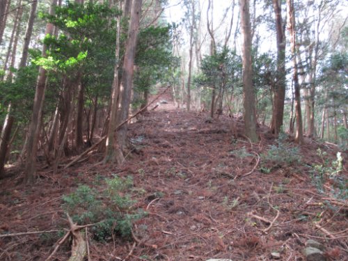 登山道