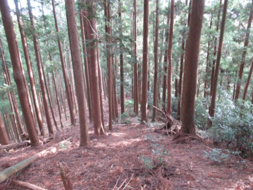 登山道