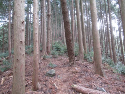 登山道