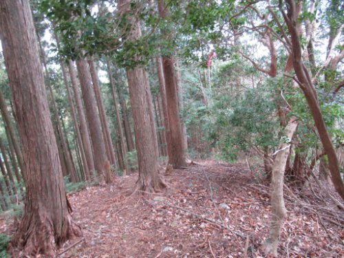 登山道