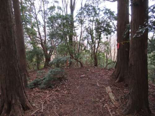 登山道