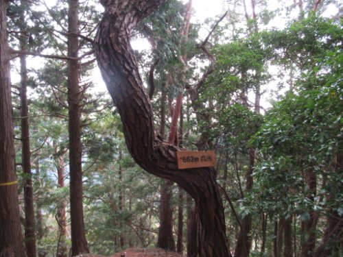 登山道