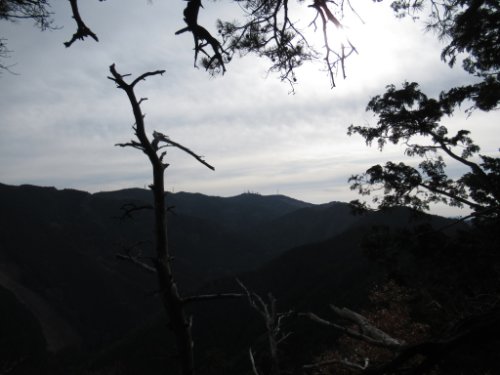 登山道