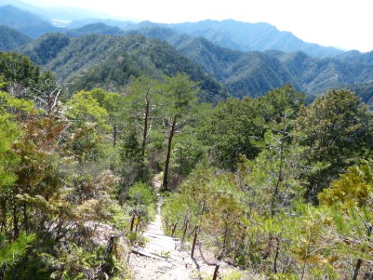 東尾根展望台