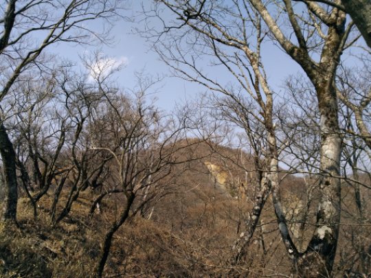 画像28