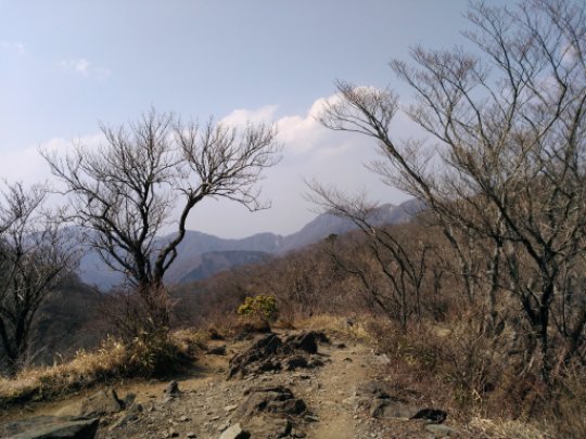 画像29