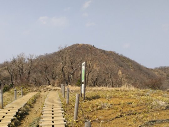 画像30