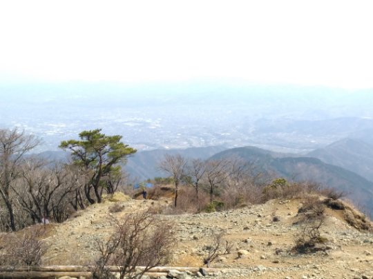 画像31