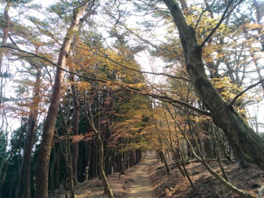 画像34