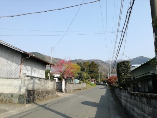 大倉バス停