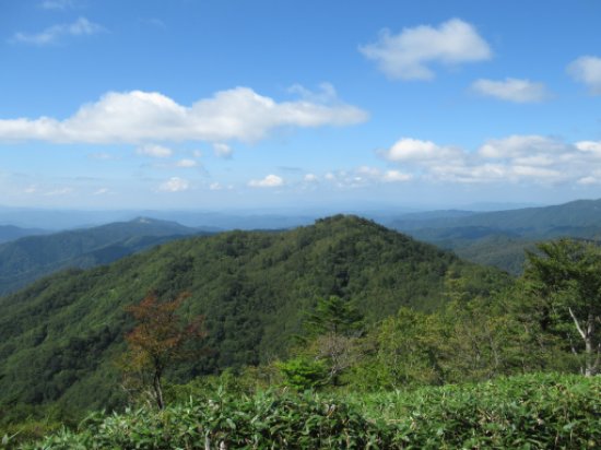 画像30