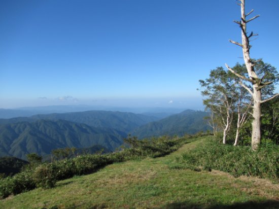 高嶺山
