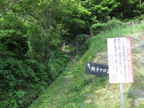 杠葉尾登山口